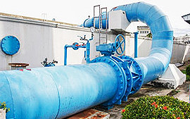 blocked toilet Lower Edmonton, N9